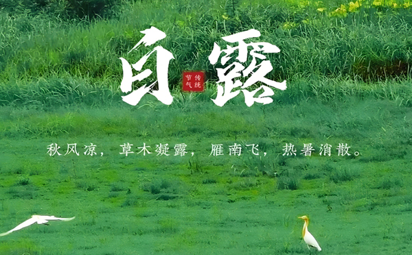 卓尼白露清新，新创洁与您共享洁净之美